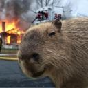 Calorie Tracker GitHub avatar