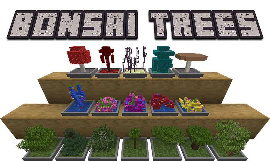 Bonsai Trees