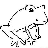 thunderfrog