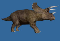 triceratops_sml.jpg