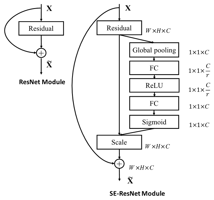 SE-ResNet-architecture