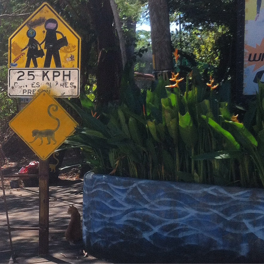 costa rican signpost signaling 25 KPH in addition to a monkey crossing. you don't see that every day.