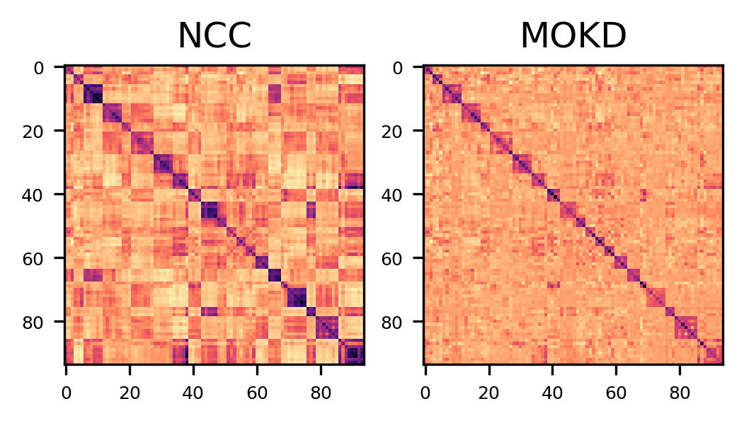 omniglot_21_heatmap.png