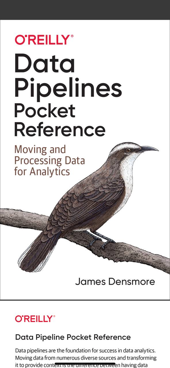 Data Pipelines Pocket Reference.jpg