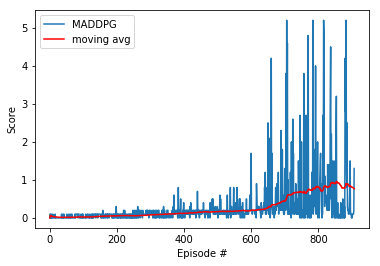 best-model-graph.png