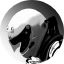 turusudiro