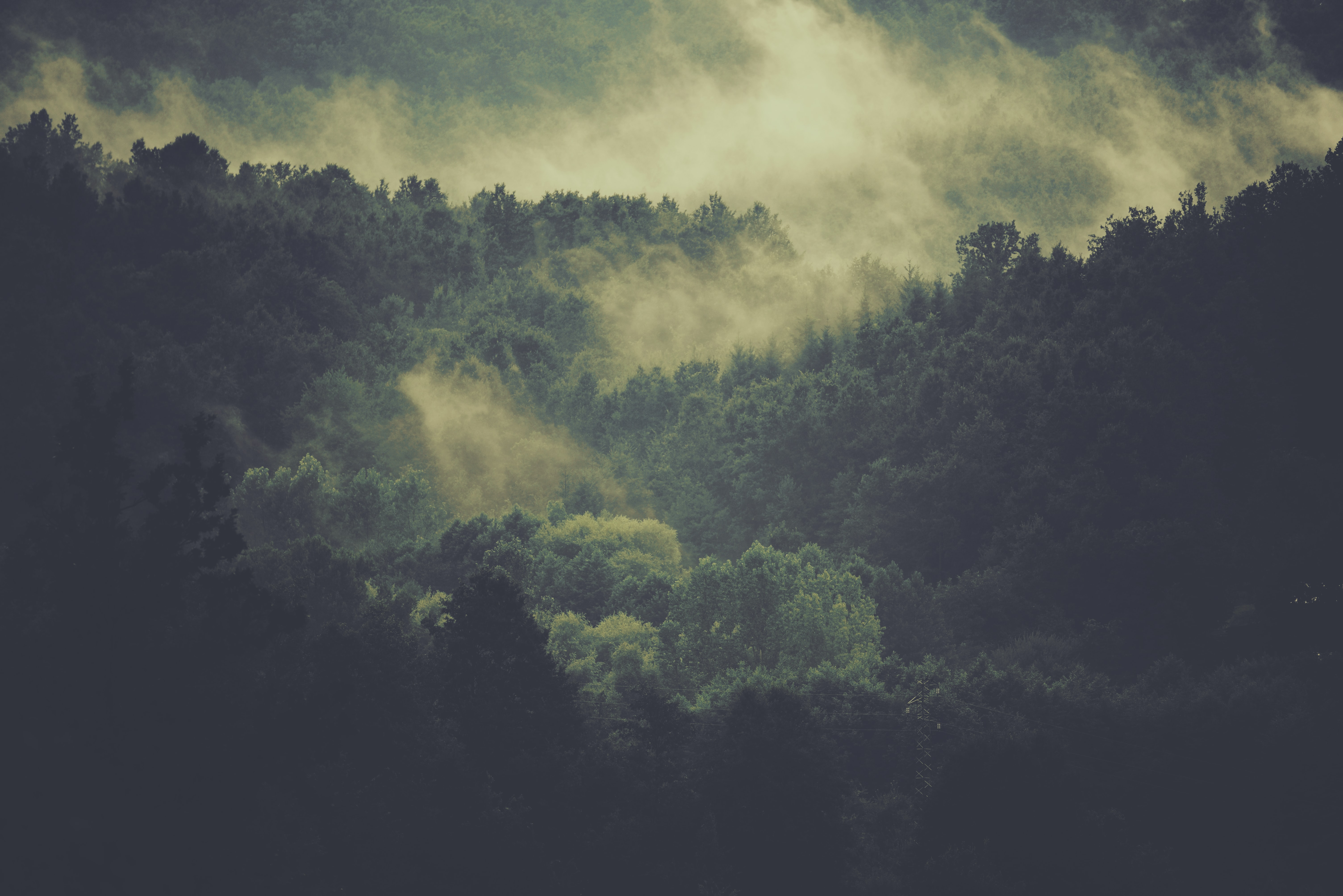 mountain_under_fog_decollatura_carmine_de_fazio.jpg