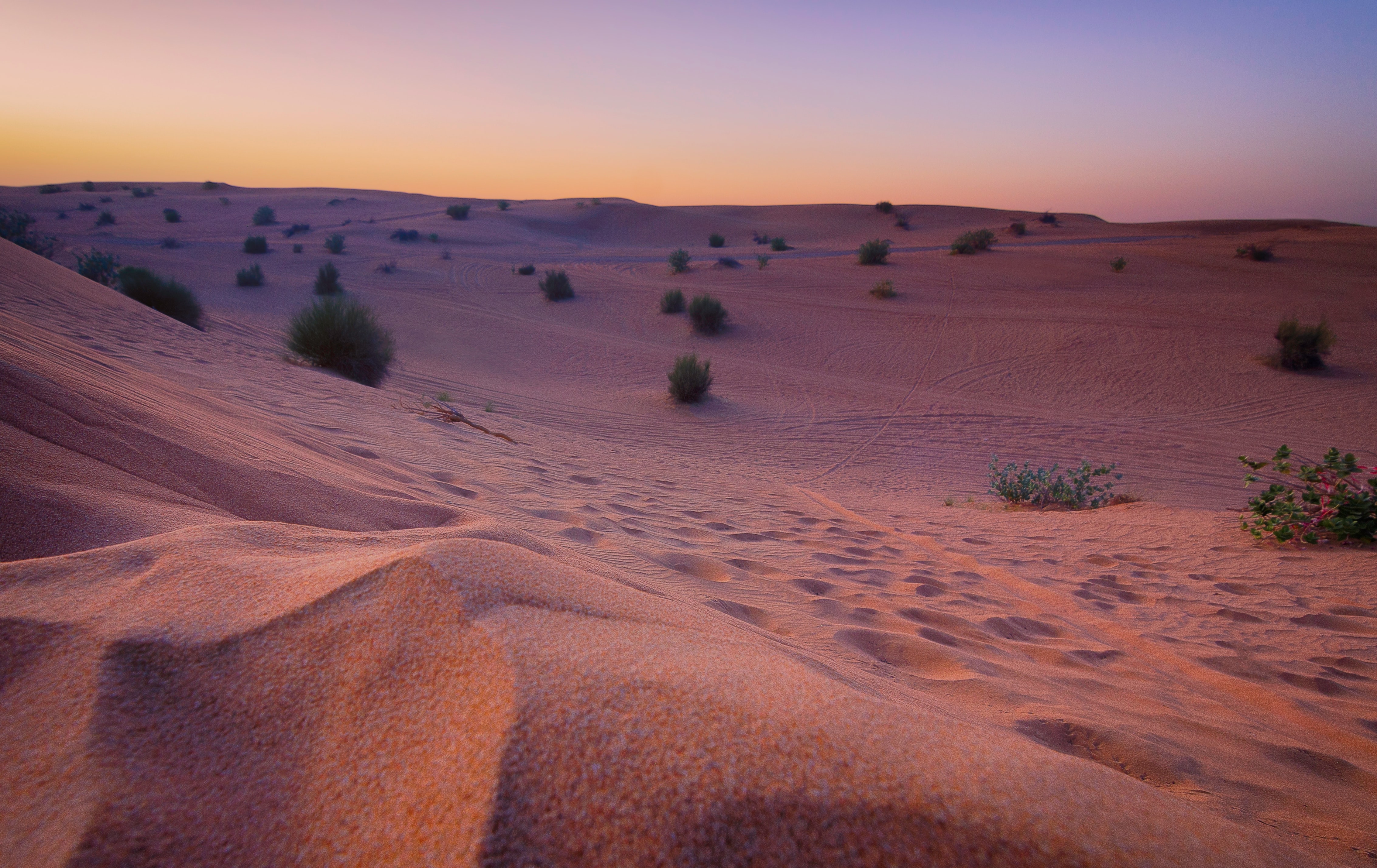 sand_dunes_safari_dubai_dubai_kent_tupas.jpg