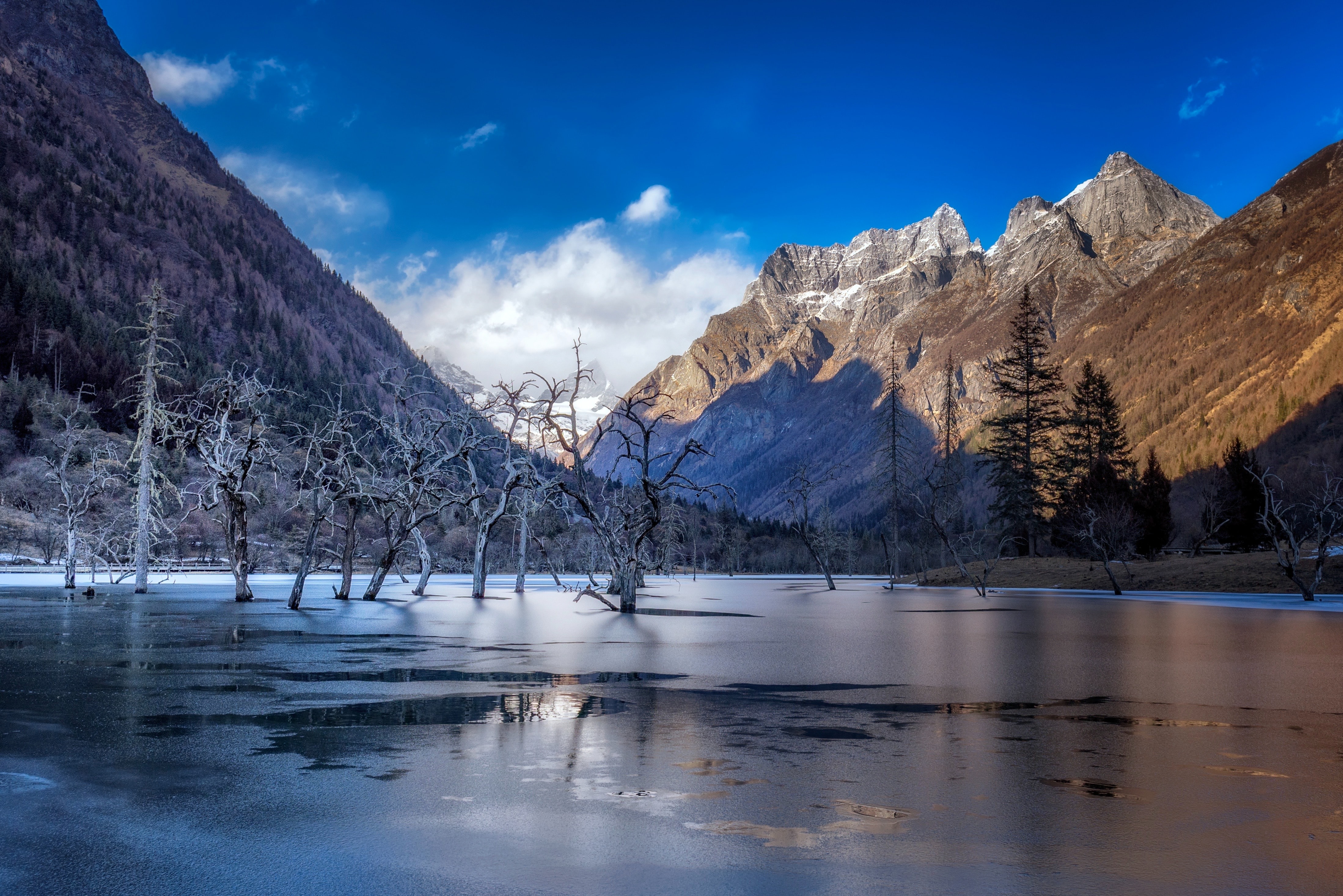 winter_in_sichuan_hu_chen.jpg