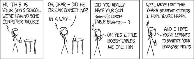 xkcd_exploits_of_a_mom.png