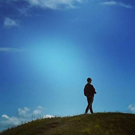 Rovodev Mcp Tool icon