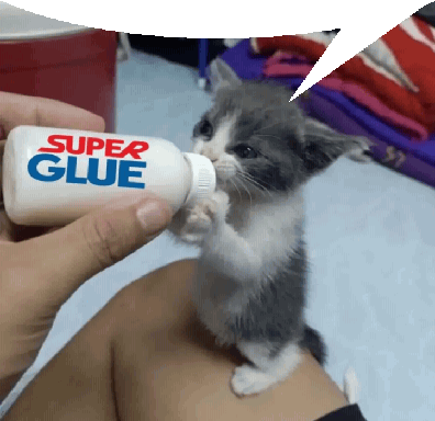 dumbcateatglue.gif