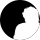 uhteddy