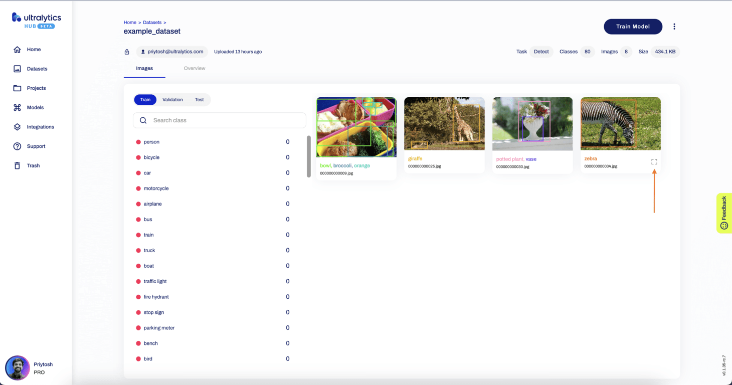 Ultralytics HUB Screenshot der Registerkarte "Bilder" auf der Seite "DatensÃ¤tze" mit einem Pfeil, der auf das Symbol "Erweitern" zeigt