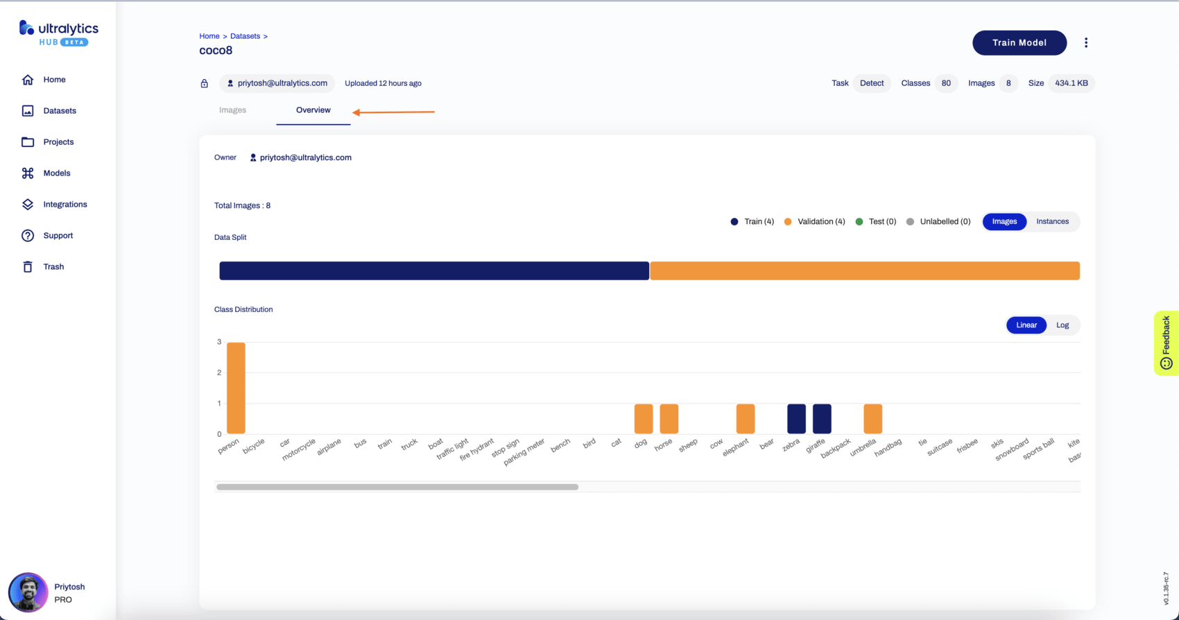 Ultralytics HUB schermata della pagina Dataset con una freccia che indica la scheda Panoramica