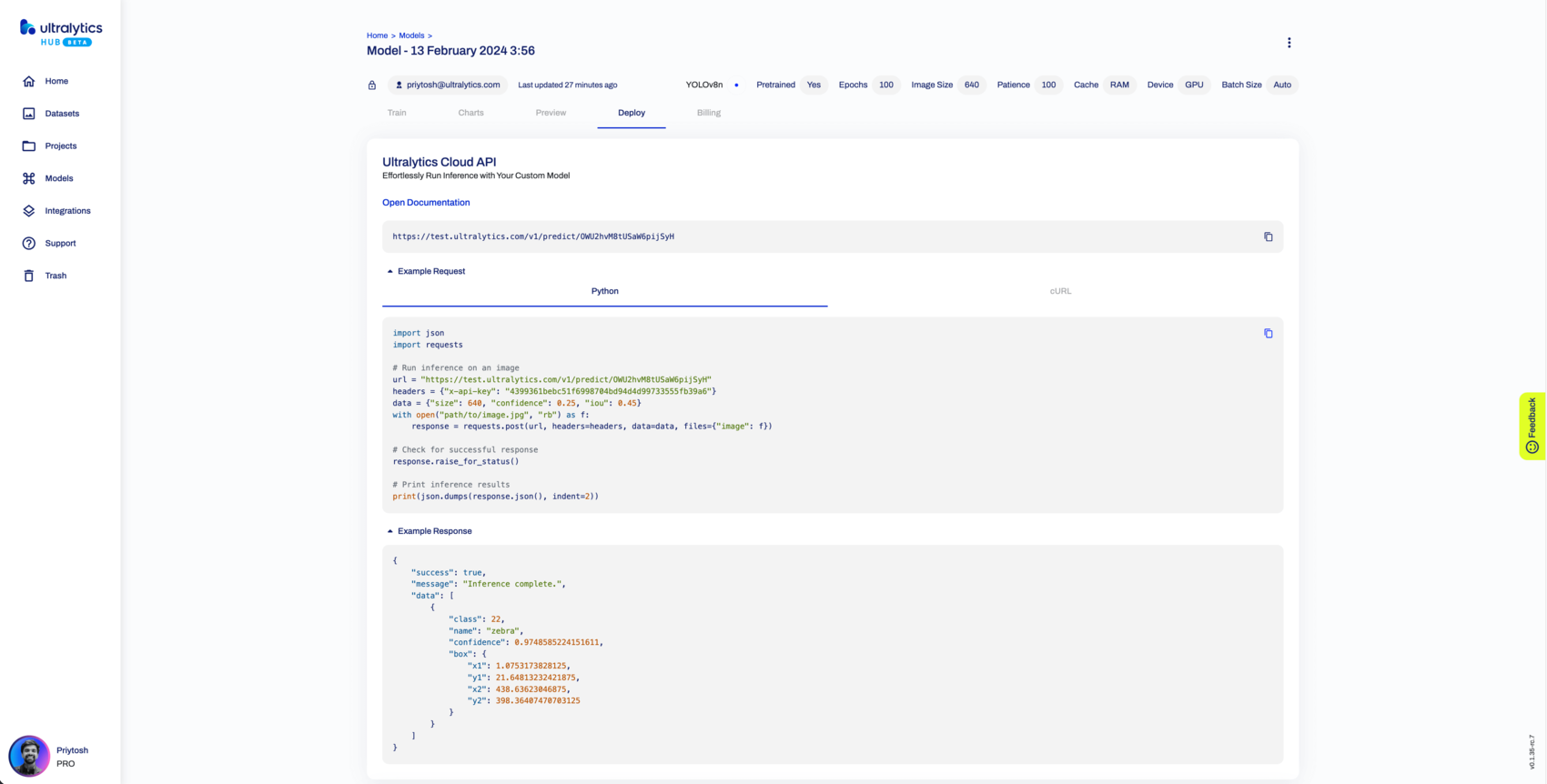 Ultralytics HUB screenshot della scheda Anteprima (scheda API diUltralytics Cloud) all'interno della pagina Modello