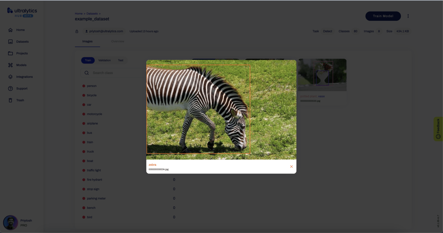 Ultralytics HUB Screenshot der Registerkarte "Bilder" auf der Seite "Datensatz" mit einem der erweiterten Bilder