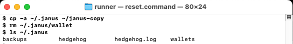 Making the copy and deleting the wallet file in Terminal