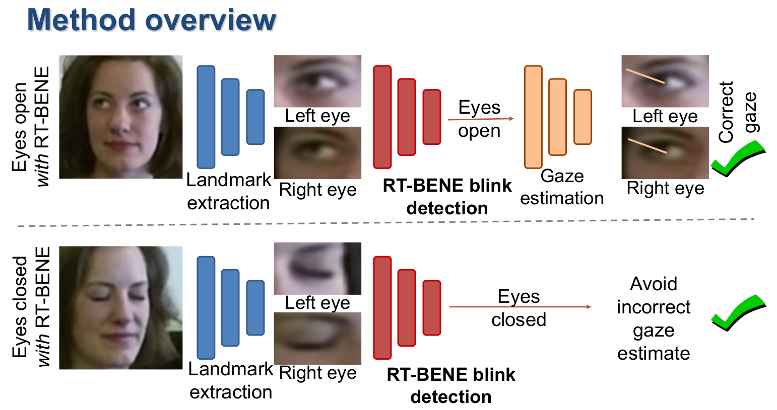 rt_bene_overview.png
