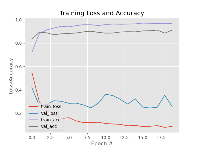 Accuracy_Training_Plot.png