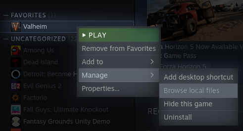 nav_steam_local_files.png