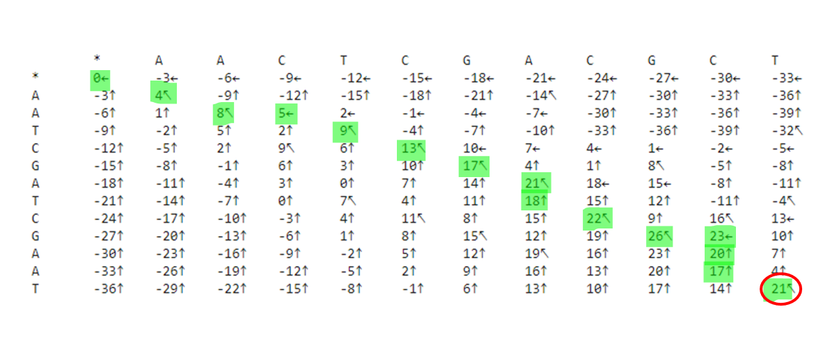 matriz-sem-mismatch-traceback.png