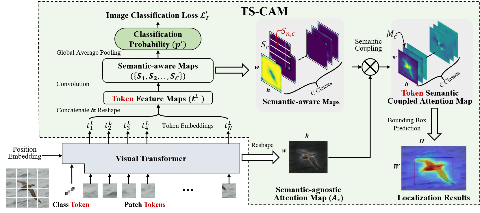 ts-cam.png