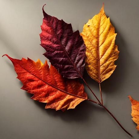 vim-fall