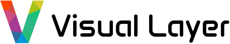 Visual Layer Logo