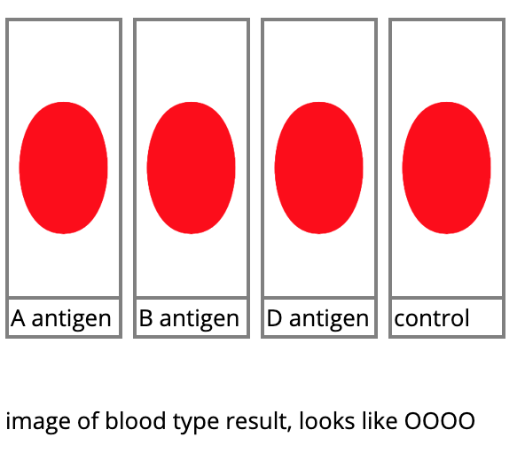 blood_type_test1.png