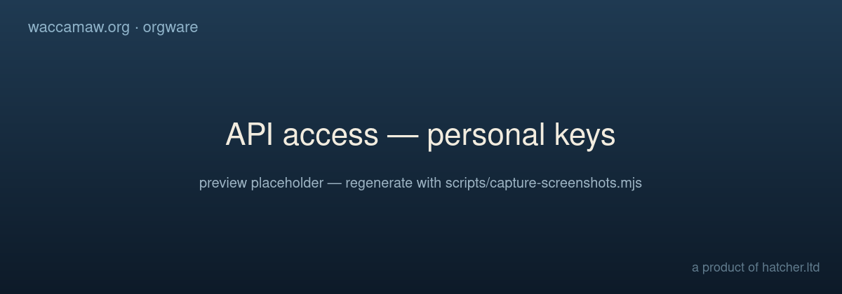 The API access page