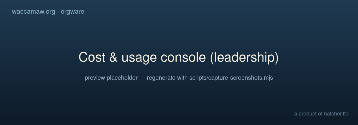The cost & usage console