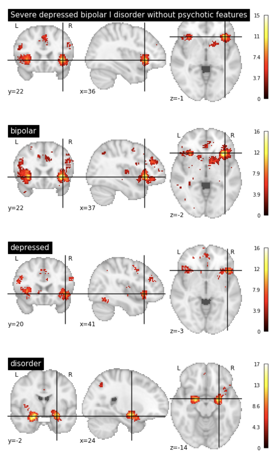 brainmapsampleoutput.png