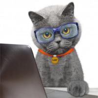 webcoderz