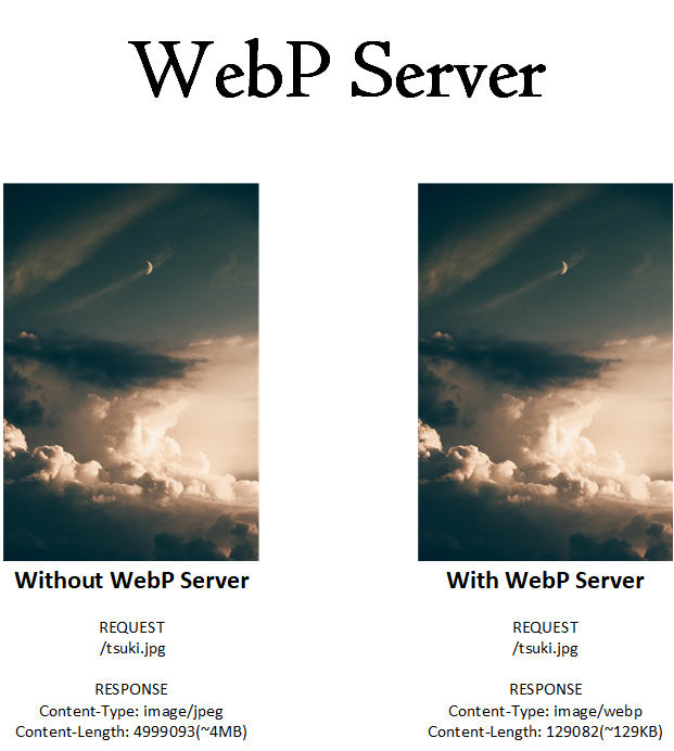 webp_server.png