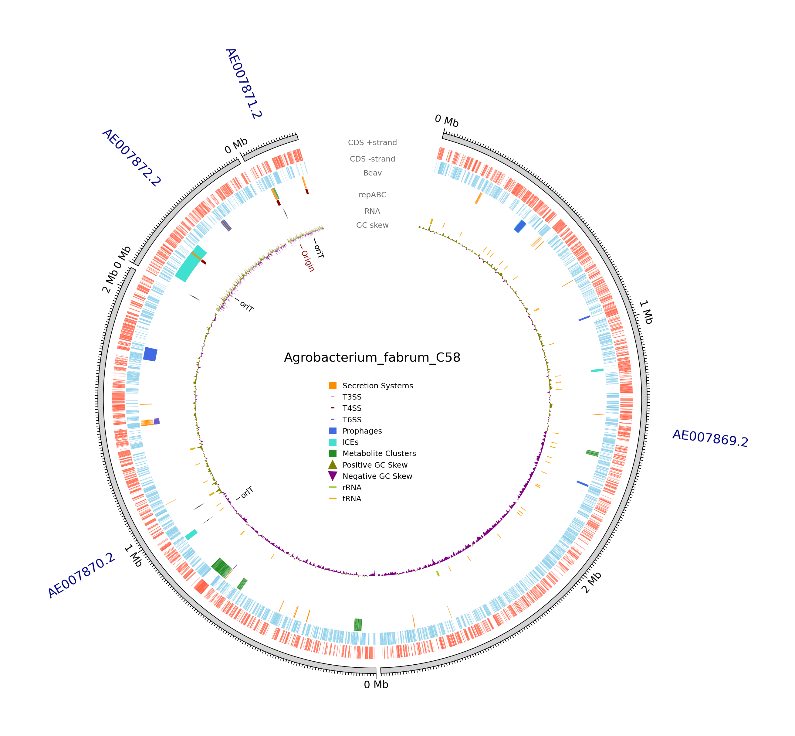 C58_Genome.png