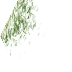 green-long-nw.png