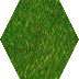 green8.png