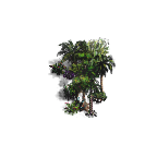 jungle-small8.png