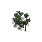 palms-small.png