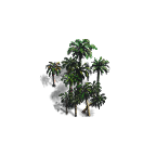 palms-small2.png