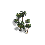 palms-sparse-small5.png