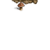 mushroom-base-n.png