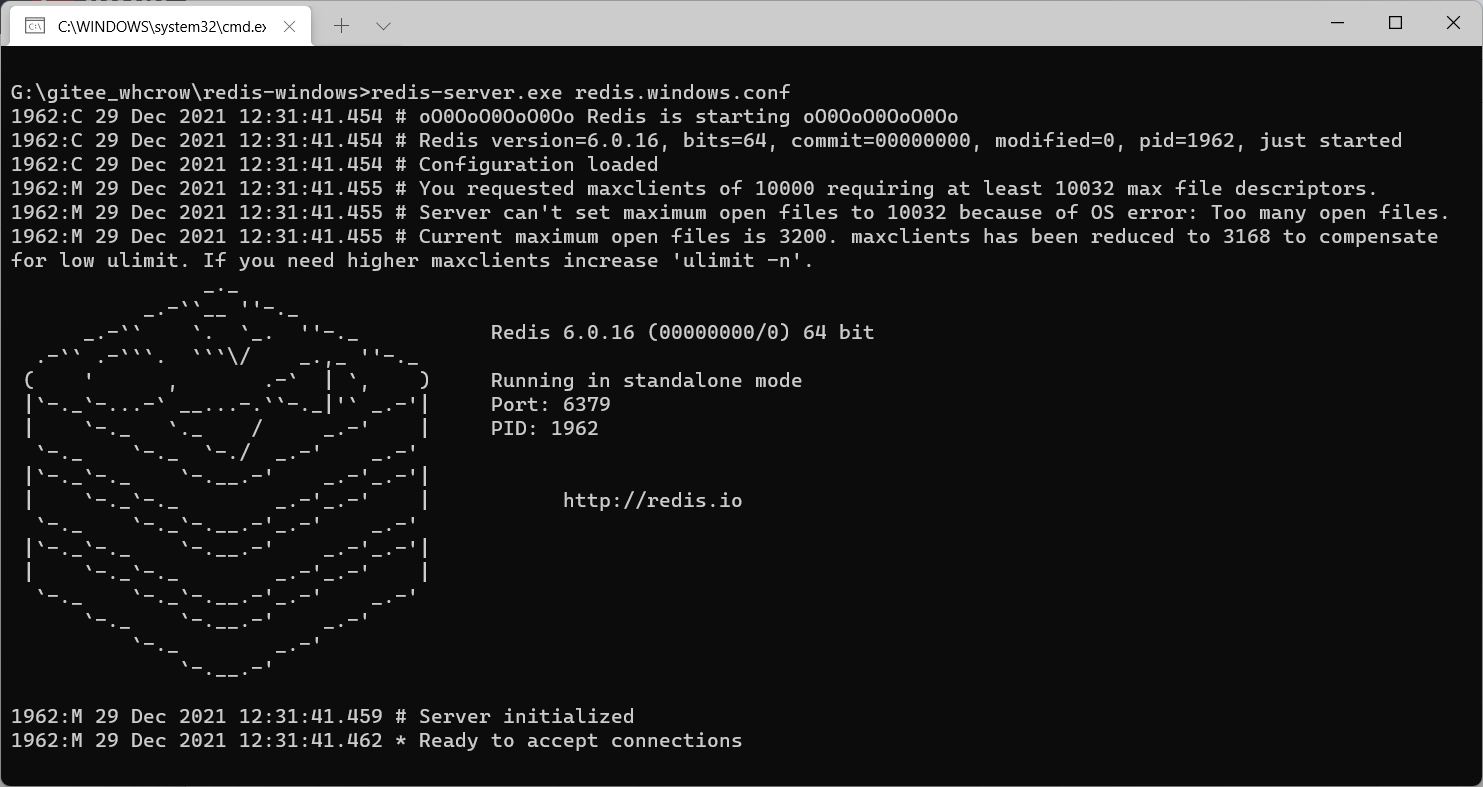 redis-6.0.16.png