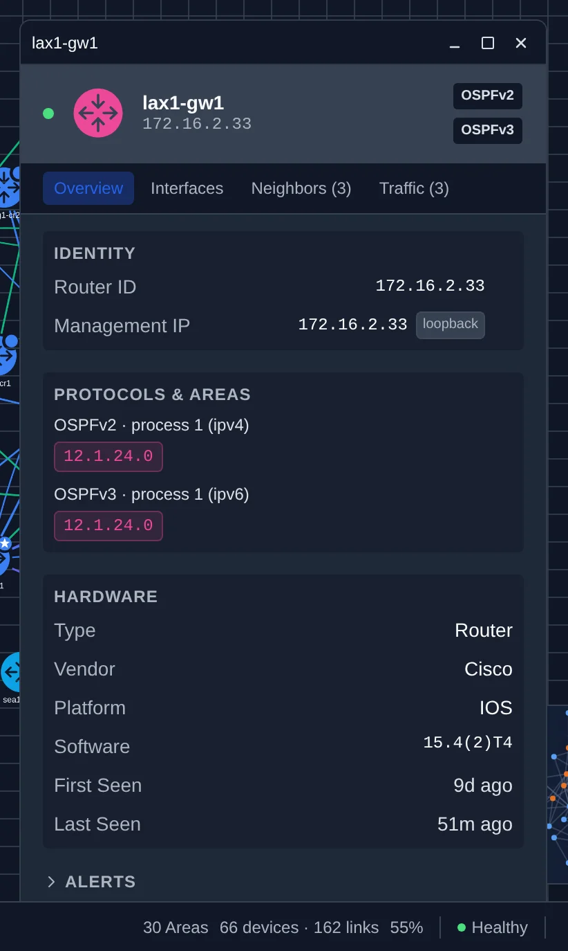 Node Detail Panel showing a router's identity, the protocols and areas it participates in, and its hardware and software details