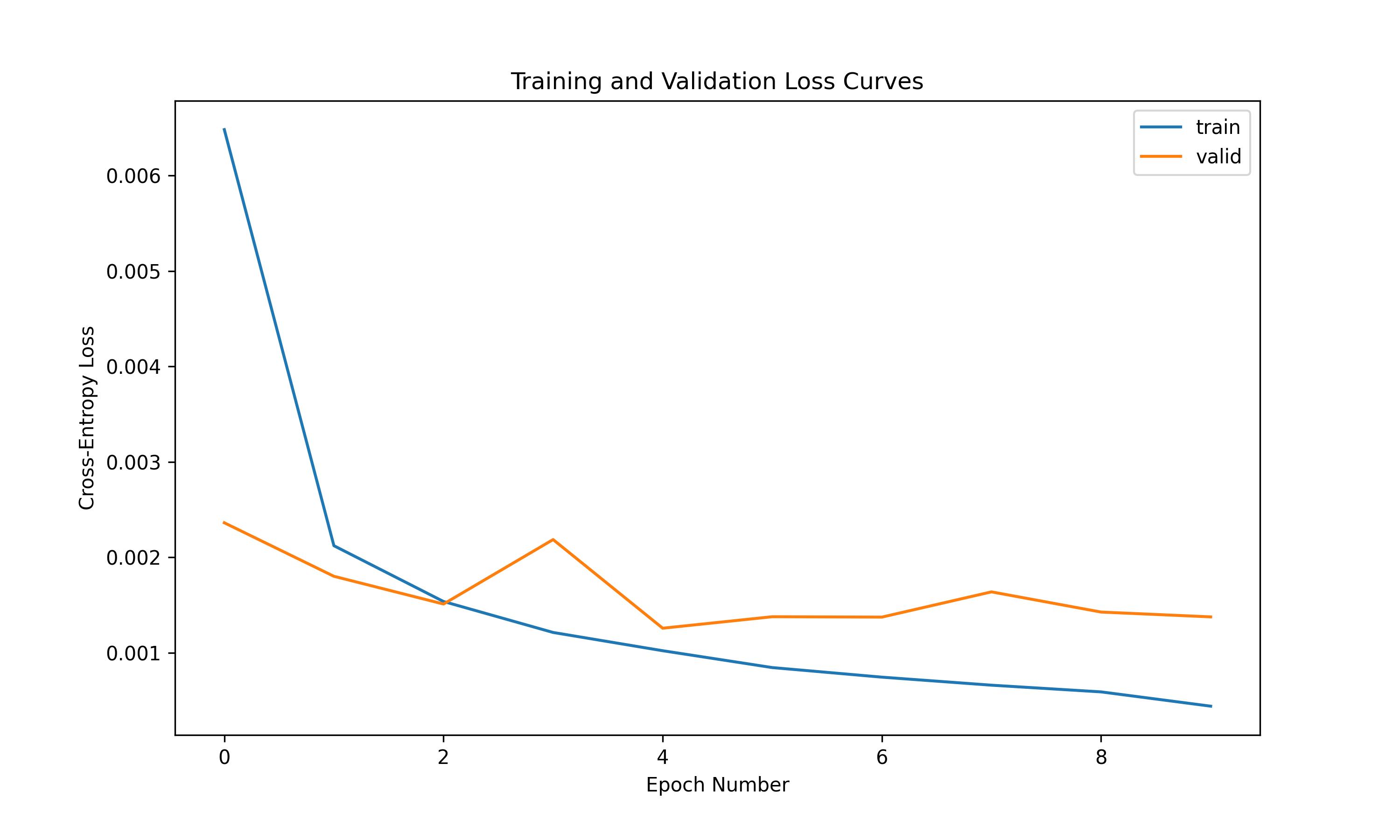 loss_curves_cnn.jpg