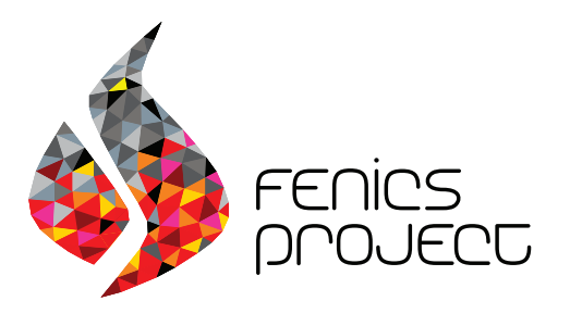 FEniCS Project banner, featuring a flame meshed with colorful elements and the text fenics project next to it.