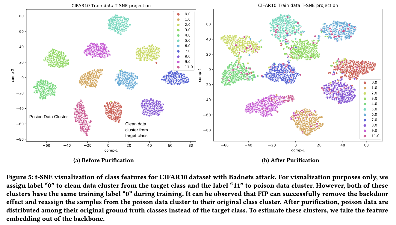 fip_tsne_plot.png