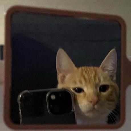 wkeav