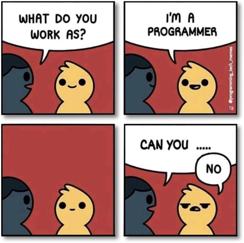 im-a-programmer-800x795.png